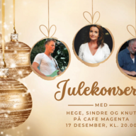 Event image Julekonsert med Hege, Sindre og Knut