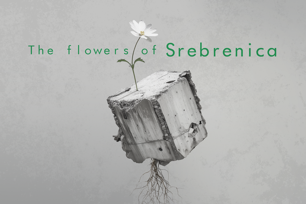 Event image The Flowers of Srebrenica + Aftertalk