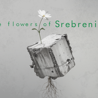 Event image The Flowers of Srebrenica + Aftertalk