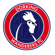 Event image Salisbury FC v Dorking Wanderers (FA Cup 3rd Qualifying Round) - Home Supporters