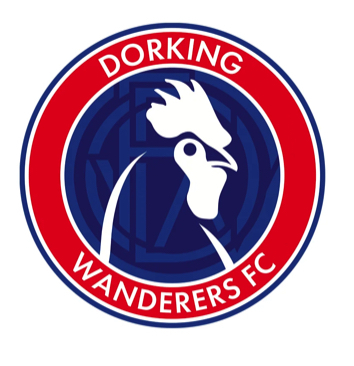 Event image Salisbury FC v Dorking Wanderers (FA Cup 3rd Qualifying Round) - Hospitality
