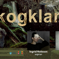 Event image Skogklang i Revesand Bedehus