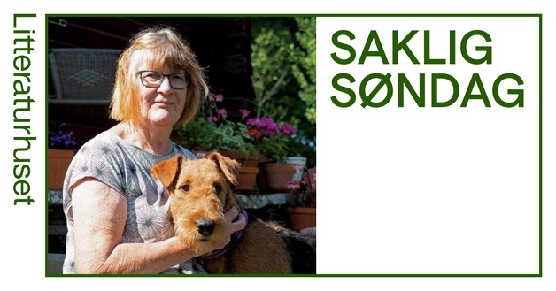 Event image Saklig søndag: I alle vinduer