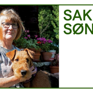 Event image Saklig søndag: I alle vinduer