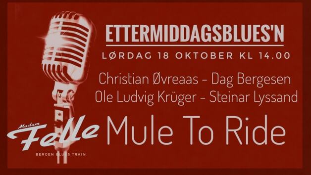 Event image MULE TO RIDE // ETTERMIDDAGSBLUSEN