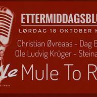 Event image MULE TO RIDE // ETTERMIDDAGSBLUSEN