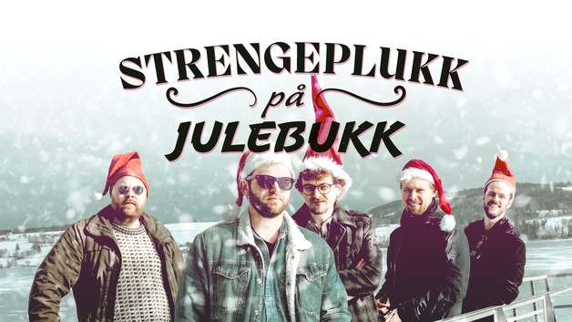 Event image STRENGEPLUKK PÅ JULEBUKK