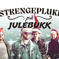 Event image STRENGEPLUKK PÅ JULEBUKK