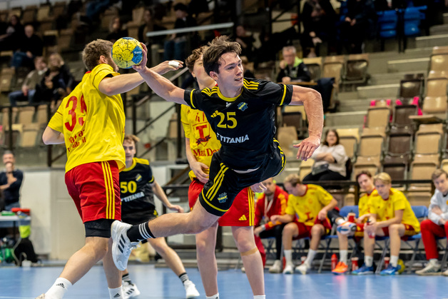 Event image AIK herr- HF SIF