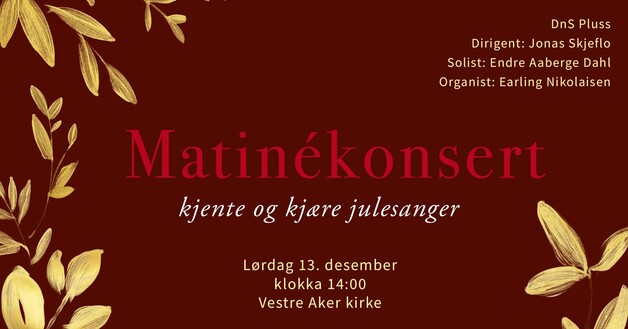 Event image Dns Pluss Julekonsert 2025, 13. desember kl 14-15