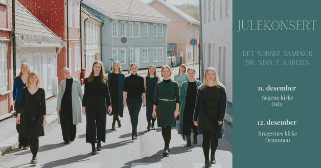 Event image Julekonsert / Det norske damekor / Sagene kirke