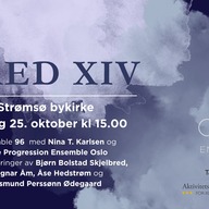 Event image FRED XIV - Strømsø bykirke