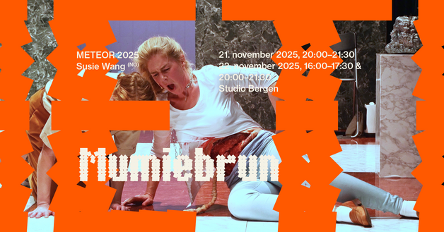 Event image METEOR 2025: Mumiebrun av Susie Wang
