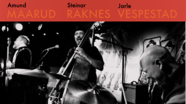 Event image RAKNES • MAARUD • VESPESTAD – ET SJANGERSPRANG AV DE SJELDNE!