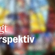Event image Ungt perspektiv