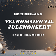 Event image Julekonsert med Fossegrimen blandakor i Sørum kirke