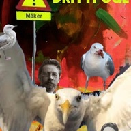 Event image VK 2026 Skoleforestilling: JÆVLA DRITTFUGL 