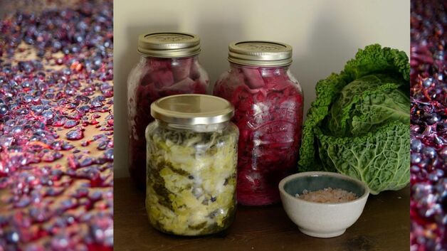 Event image Formiddagsmat: Fermentering 