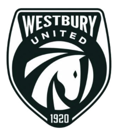Event image Salisbury V Westbury United FC