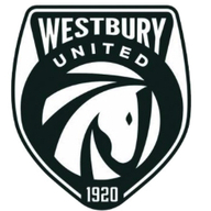 Event image Salisbury V Westbury United FC (Away Supporters)