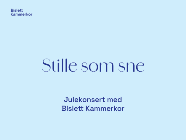 Event image Julekonsert med Bislett Kammerkor