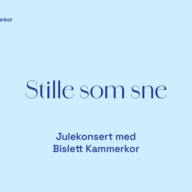Event image Julekonsert med Bislett Kammerkor
