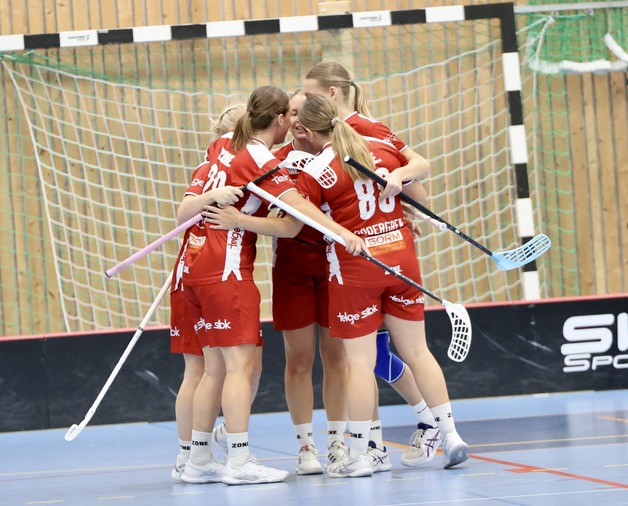 Event image Telge SIBK - Älvsjö AIK IBF
