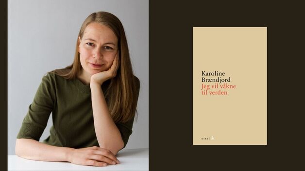Event image Lyrikklesesirkel: Jeg vil våkne til verden av Karoline Brændjord
