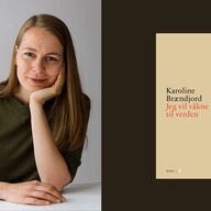 Event image Lyrikklesesirkel: Jeg vil våkne til verden av Karoline Brændjord