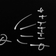 Event image Ensemble LIME spiller Grisey