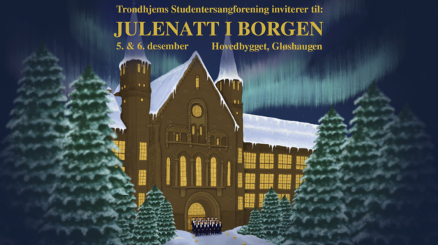 Event image Julenatt i Borgen