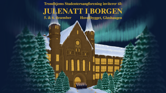 Event image Julenatt i Borgen