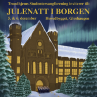 Event image Julenatt i Borgen
