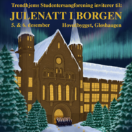 Event image Julenatt i Borgen