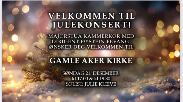 Event image Julekonsert med Majorstua kammerkor 