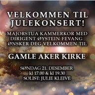 Event image Julekonsert med Majorstua kammerkor 