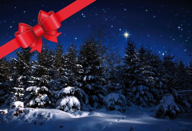 Event image Julekonsert Høvik kirke 6. desember 2025 kl 16:00