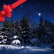 Event image Julekonsert Høvik kirke 6. desember 2025 kl 16:00