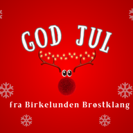 Event image Julekonsert med Birkelunden Brøstklang