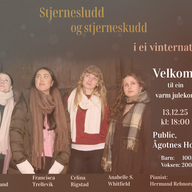 Event image Stjernesludd og stjerneskudd i ei vinternatt 