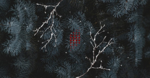 Event image Rosa Mystica - Jul med Kammerkoret NOVA