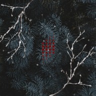 Event image Rosa Mystica - Jul med Kammerkoret NOVA