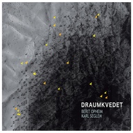 Event image Draumkvedet