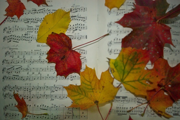 Event image UNOF - Høstkonsert kl. 16:00