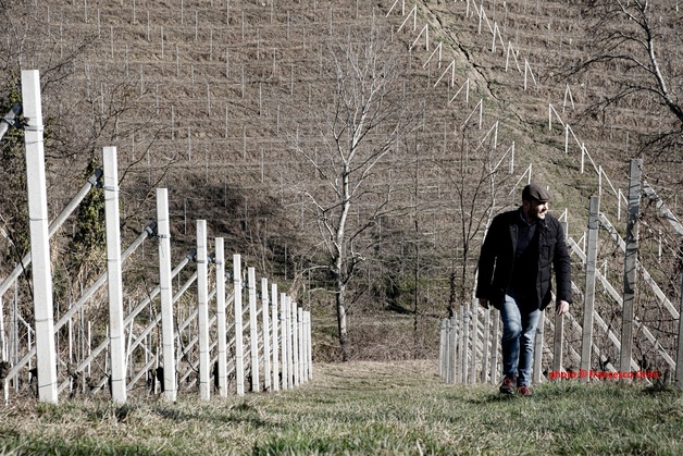 Event image SCARZELLO - Vinsmaking på Kunstnernes JUR