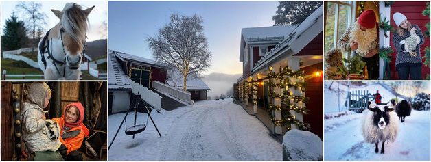 Event image JULEGÅRDSBESØK, søndag 21. desember kl. 14.00 - 16.00