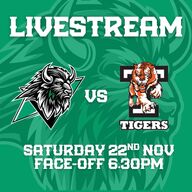 Event image Basingstoke Bison v Telford Tigers Livestream - F/0 18:30