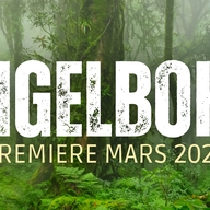 Event image Jungelboken