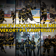 Event image Gavekort - Ringerike Panthers
