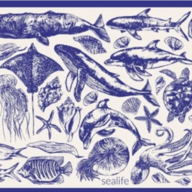 Event image “Save the Whale, Screw the Shrimp”: A Conversation with Joy Williams